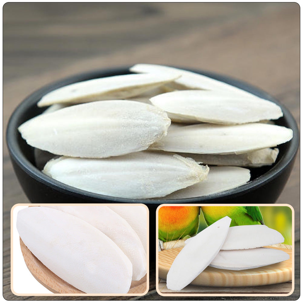 12 sets of Bird Cuttlebone Cuddle Bone Chewing Cuttlefish Bone with Metal Holder