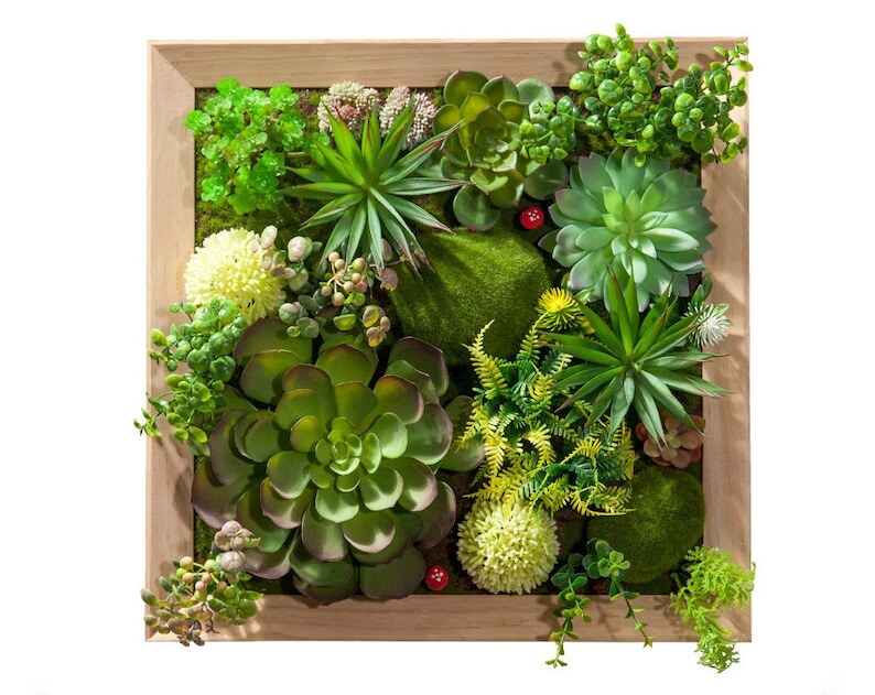 Artificial Plant Succulent Wall Art | Plant Wall | Wall Decoration | H