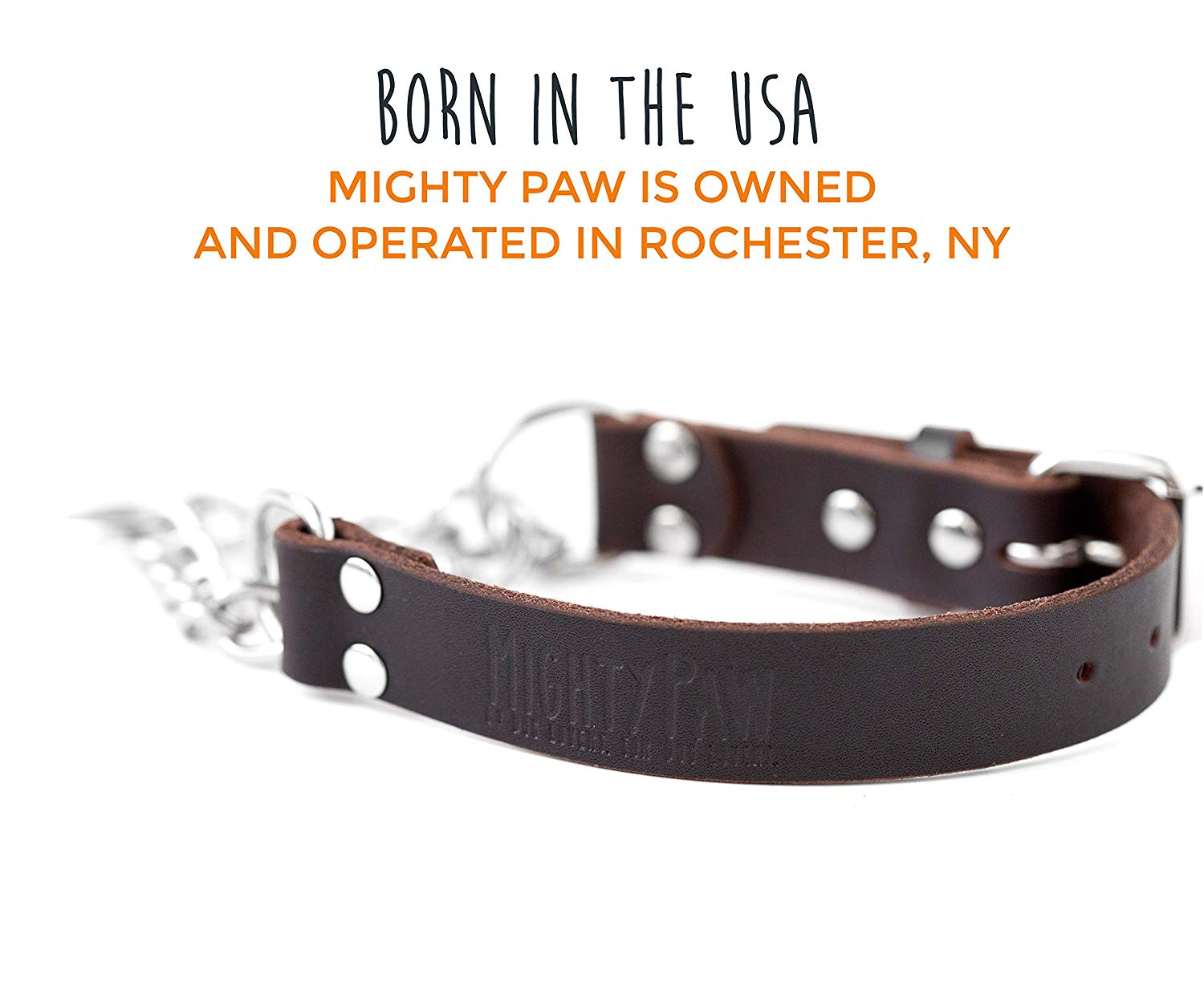 Mighty Paw Leather Training Collar， Martingale Collar， Stainless Steel Chain - Limited Chain Cinch Collar