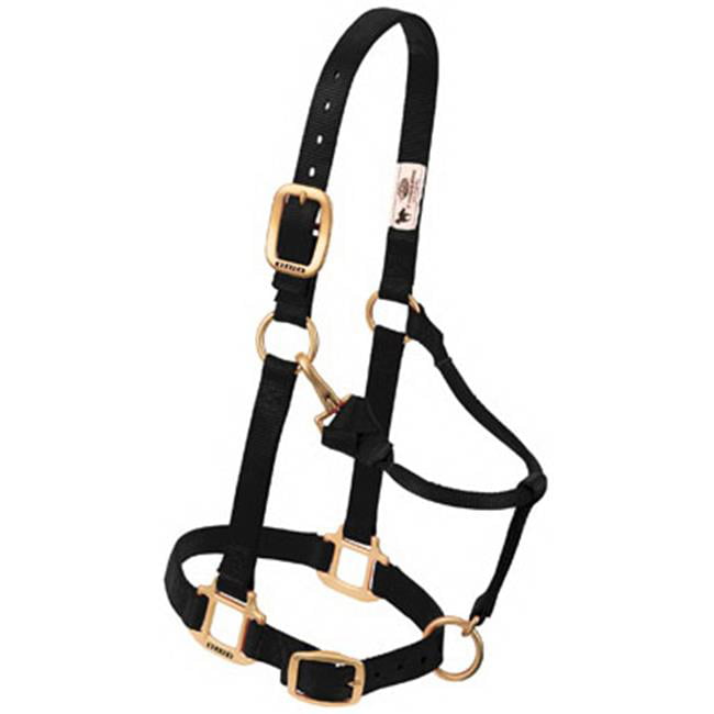 35-7036-BK 1 in. Large Adjustable Chin and Throat Snap Halter - Black