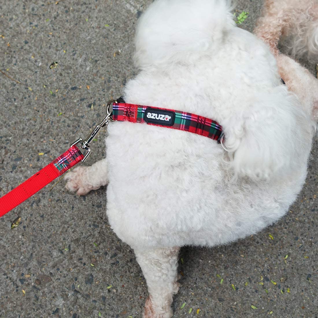 azuza Christmas Dog Collar and Leash Set， Buffalo Plaid Dog Collar with Matching Leash for Small Medium Large Dogs， Great for Christmas， New Year， Festivals and Daily Use