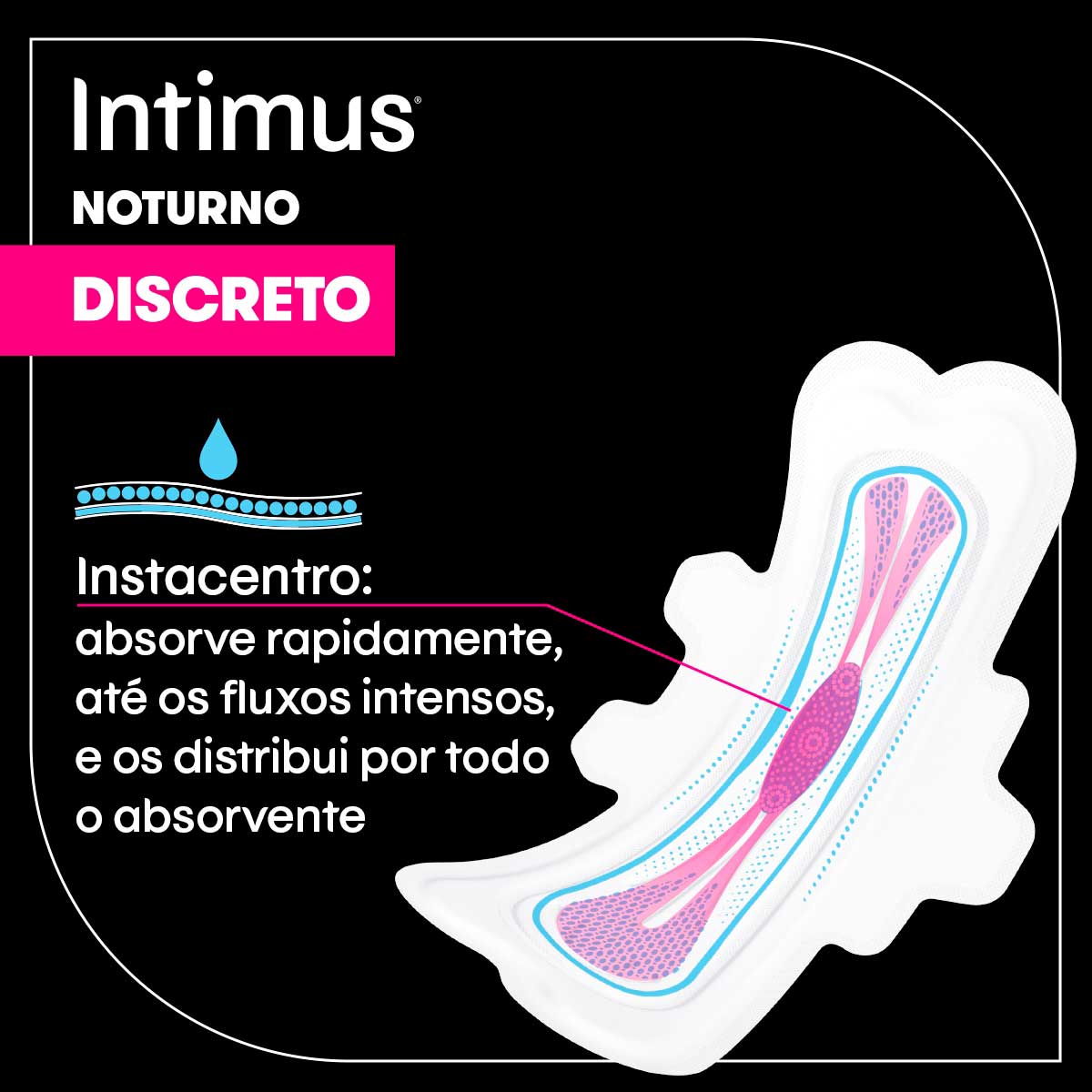 Absorvente Intimus Noturno Discreto com Abas 28 Unidades