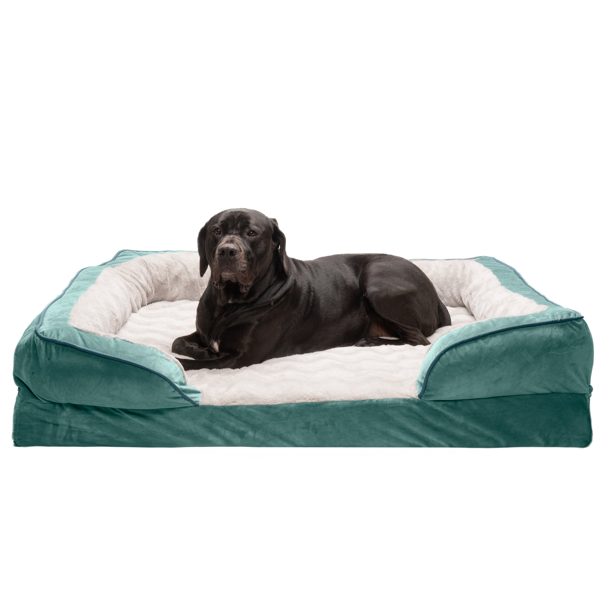 FurHaven Pet Products | Full Support Orthopedic Perfect Comfort Velvet Waves Sofa Pet Bed Dogs and Cats - Celadon Green， Jumbo Plus