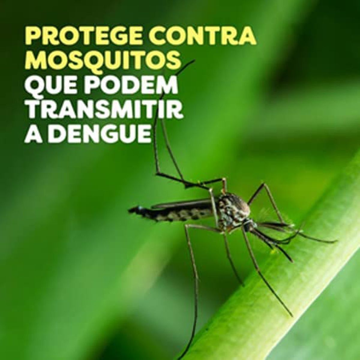 Repelente de Insetos Locao Off! Active Longa Duracao Squeeze 100ml