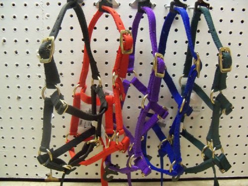 Tough1 Miniature Nylon Halter Lg Purple