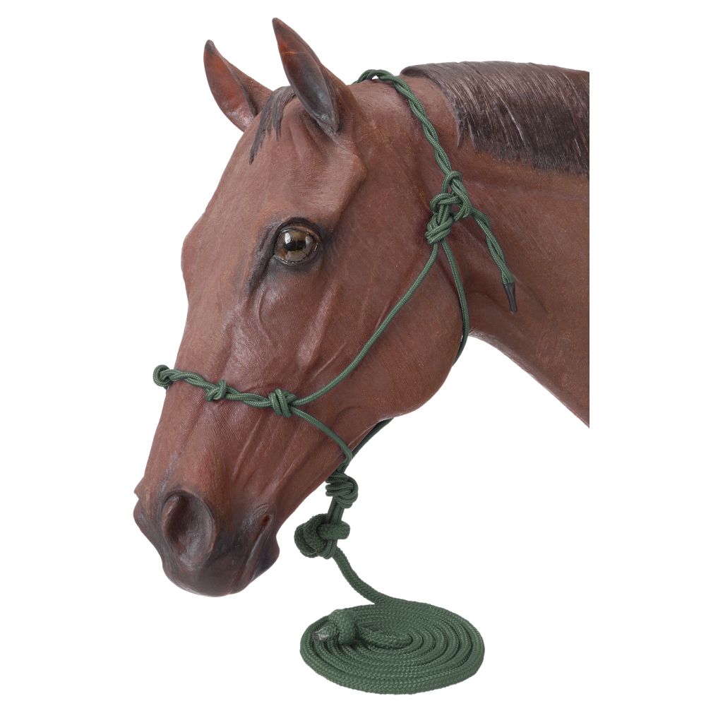 Tough-1 Poly Rope Halter W/Knots and 14Ft Lead - Hunter Green