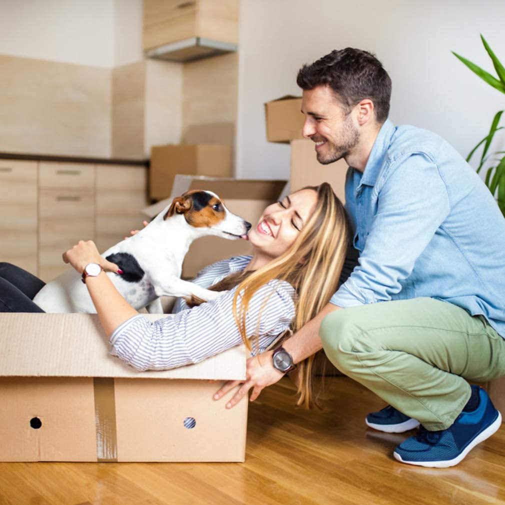 Bestpet Playpen Dog Fence， Exercise Pen Metal Wire Portable Crate Kennel Cage for Small Pet (Dog， Cat， Rabbit) Black， 24 Inches