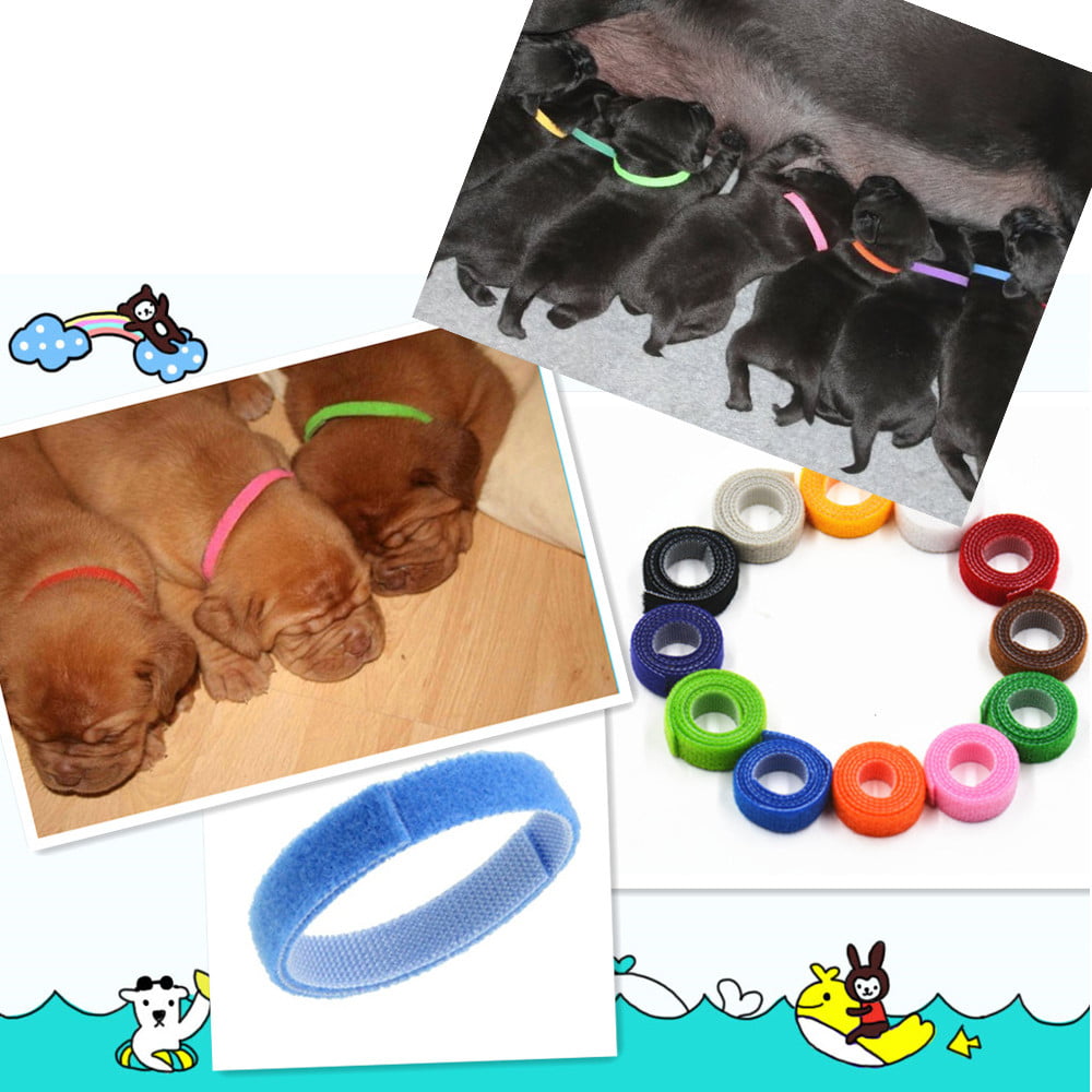 〖Hellobye〗12Pcs Newborn Adjustable Puppy ID Collar Reusable Breeders