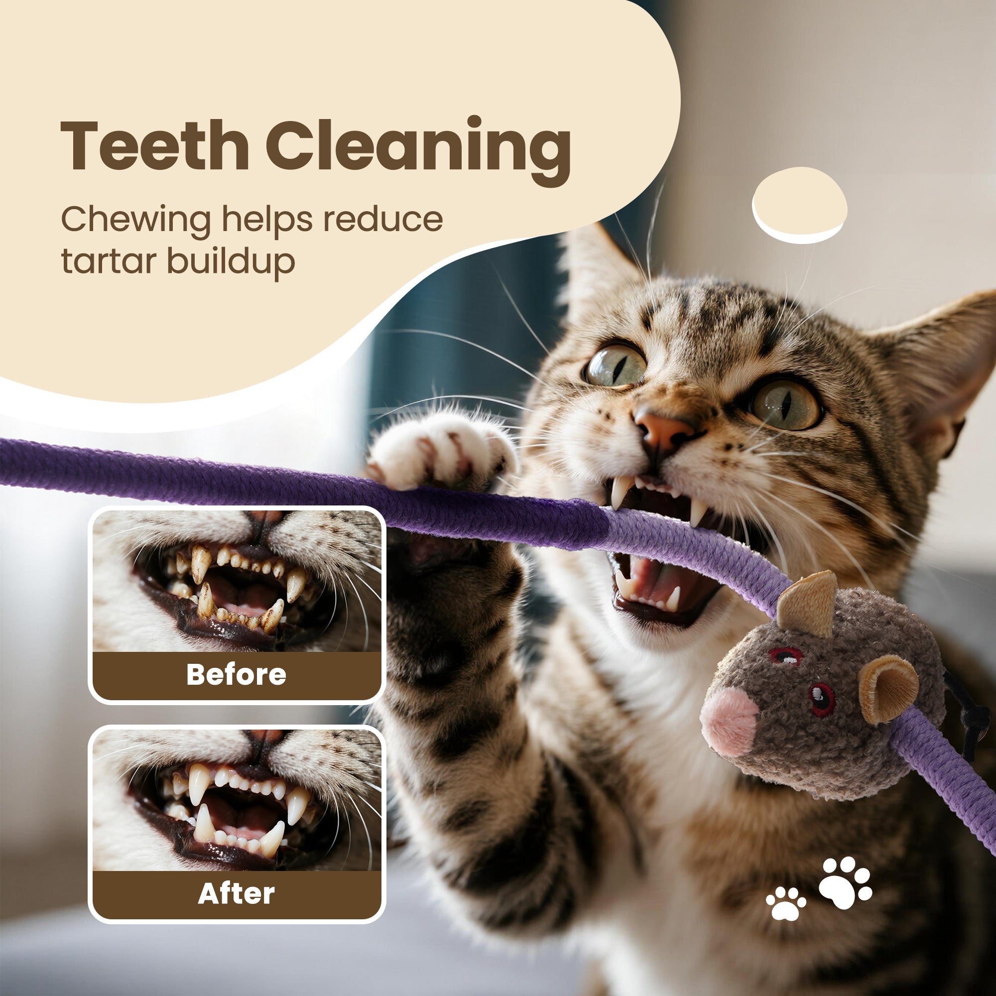 Cat Chew Rope Toys with Catnip Mice Interactive Teething Toy Set