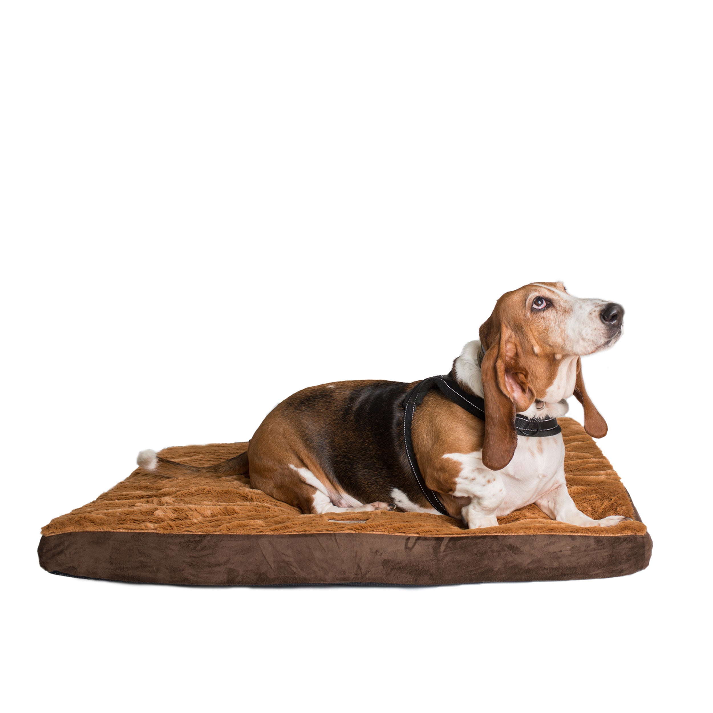MEDIUM MEMORY FOAM DOG MAT M06HKF/ZS-M