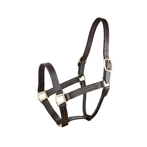 Gatsby Triple Stitched No Snap Halter Horse