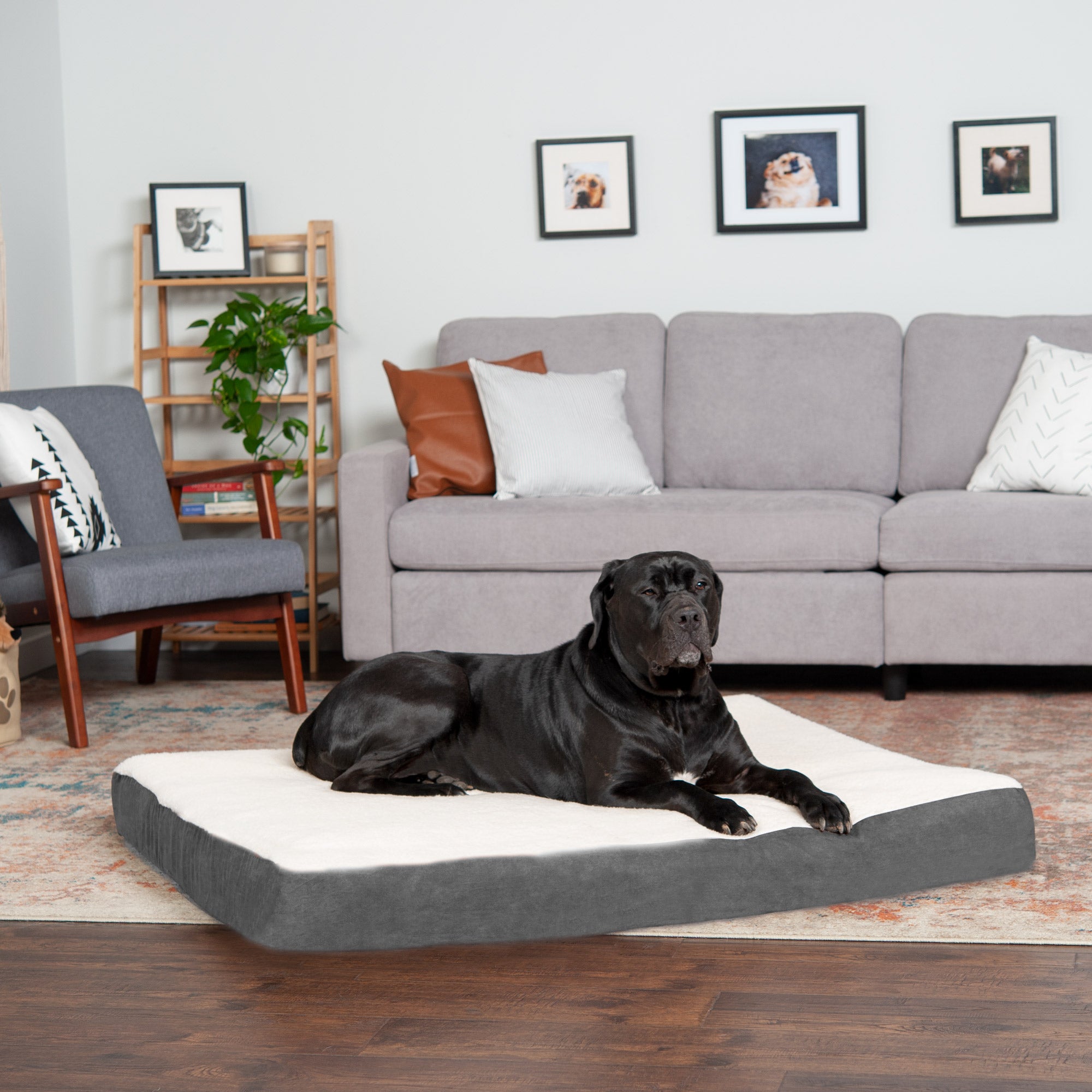 FurHaven Pet Products， Memory Foam Pet Bed for Dogs and Cats， Gray， Jumbo Plus