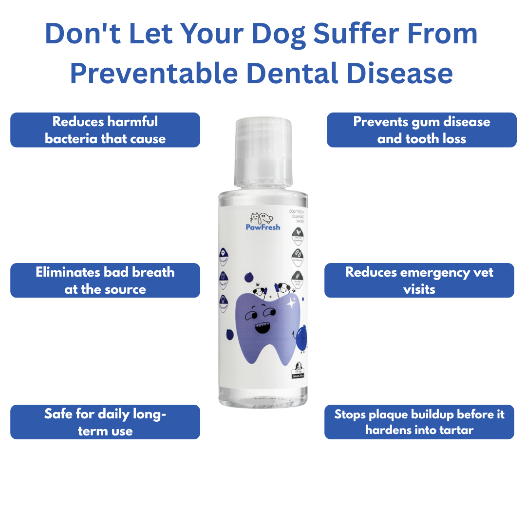 Paw Fresh Water Additive | Dental Care Solution – Gum & Teeth Protection