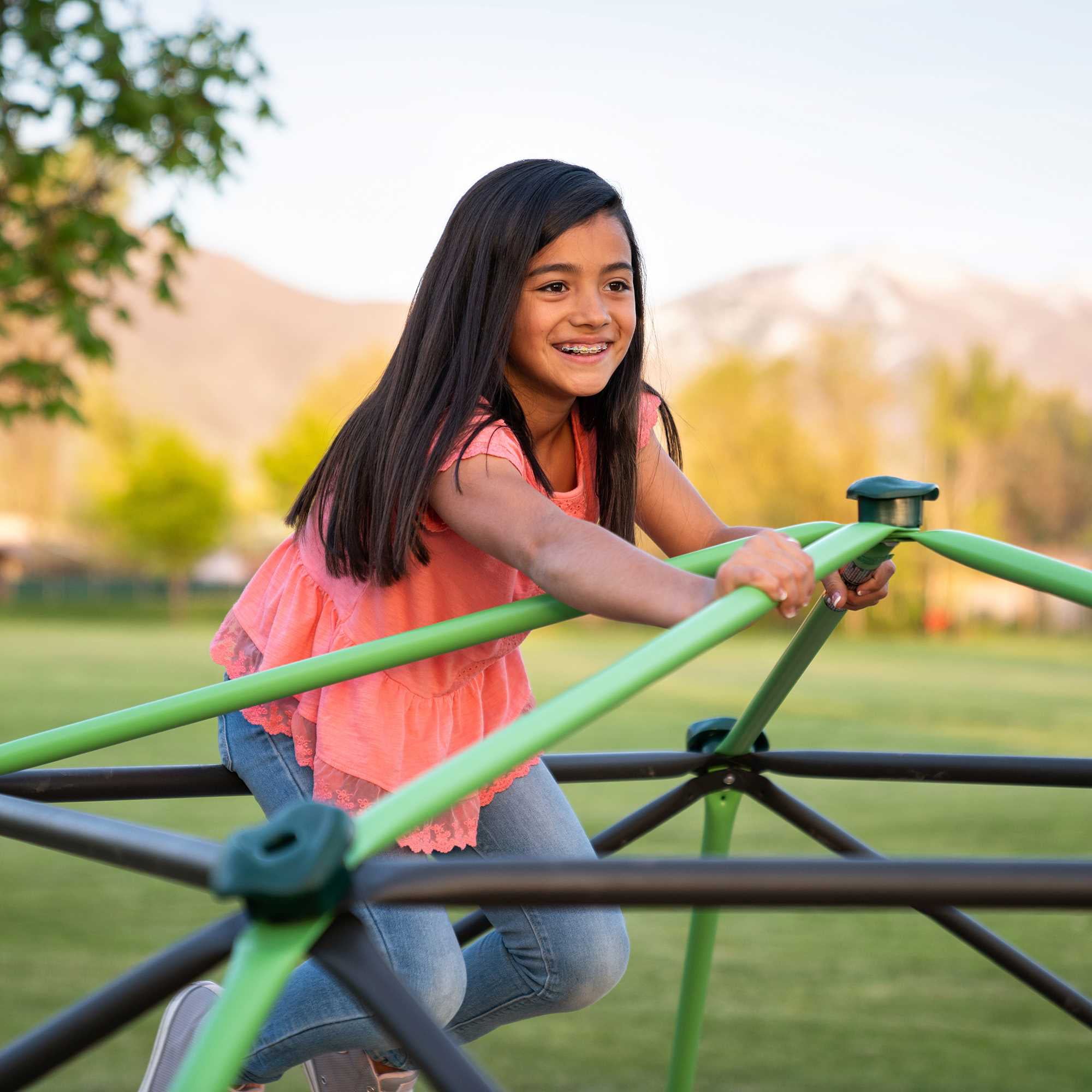 Lifetime 66 inch Steel Playground Climbing Dome， Mantis Green and Bronze (90951)