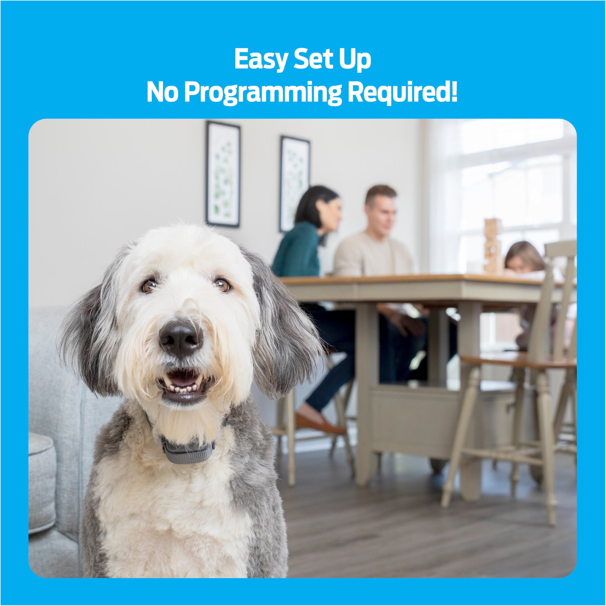 Premier Pet Bark Collar: Discourages Barking for All Size Dogs， Adjustable， Water Resistant， Gentle Static Correction， Low Battery Indicator， No Programming Required