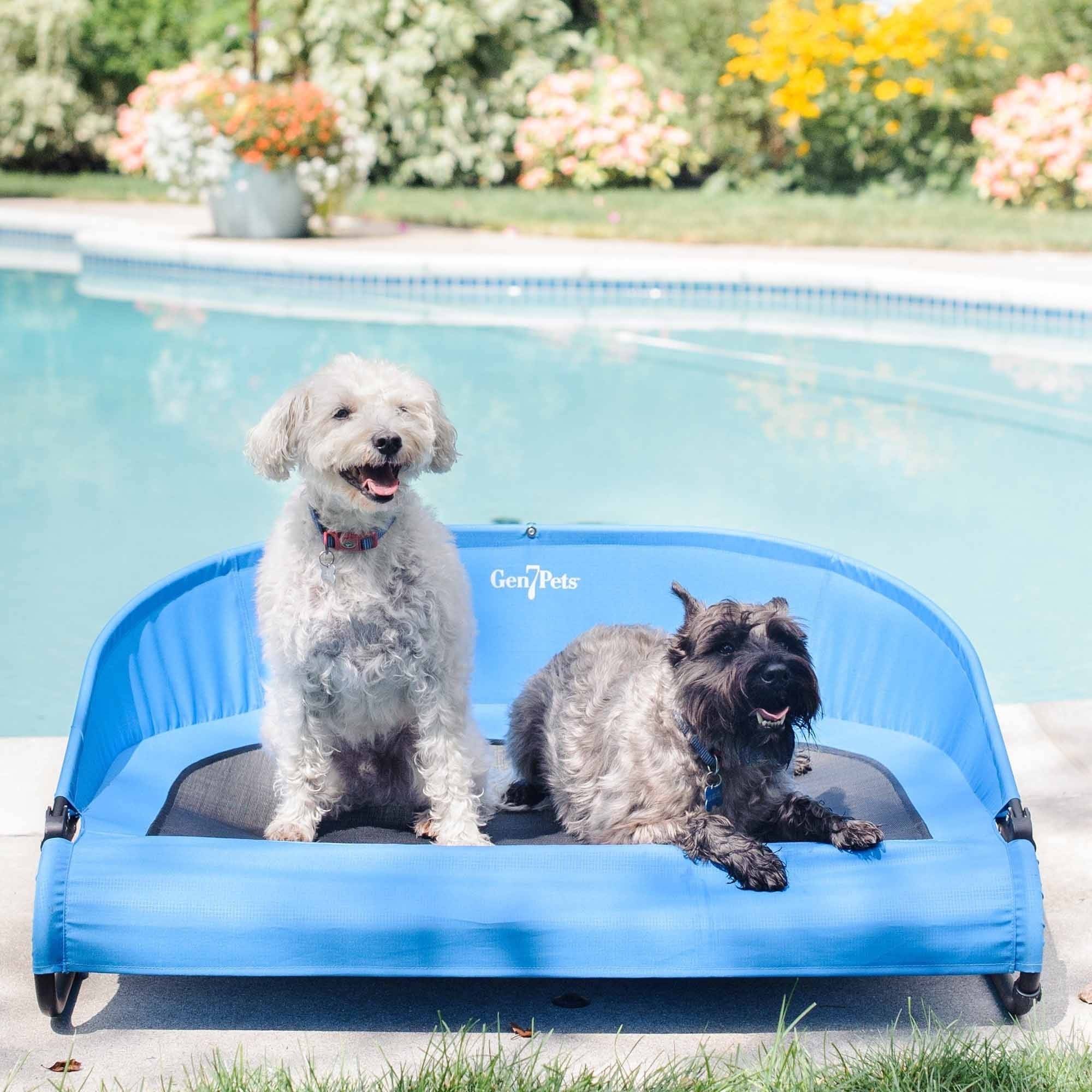 Gen7Pets Cool-Air Cot Pet Bed， Medium， Trailblazer Blue