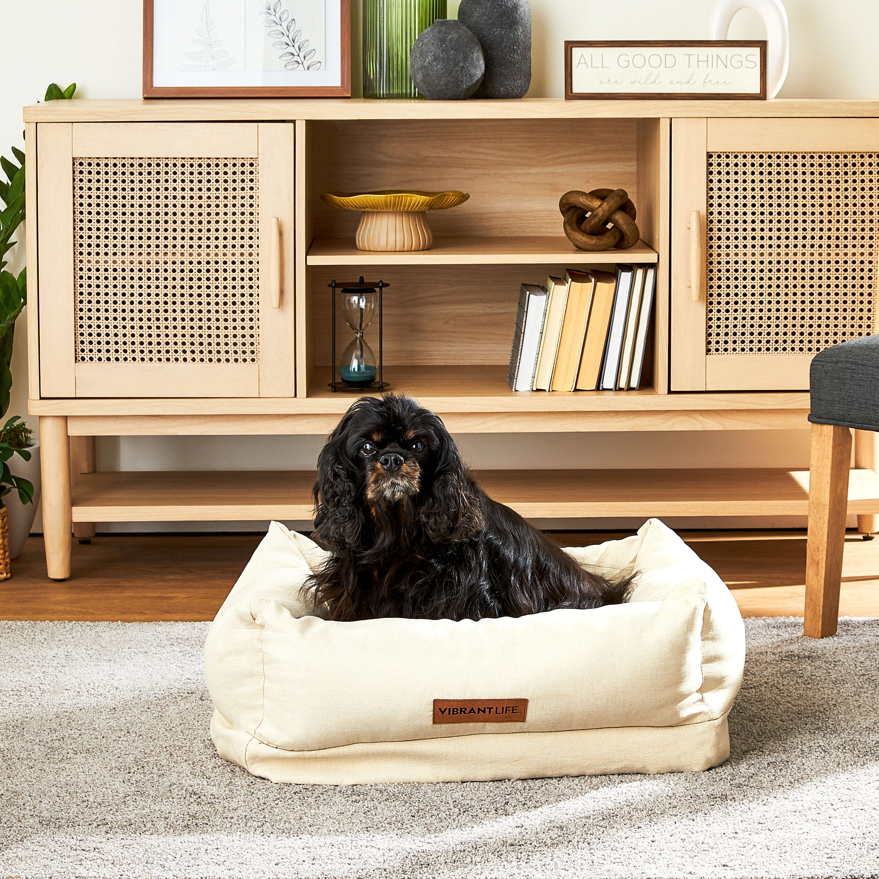 Vibrant Life Deluxe Orthopedic Premium Pet Bed for Dogs or Cats， Small， Measures 18 inches x 24 inches