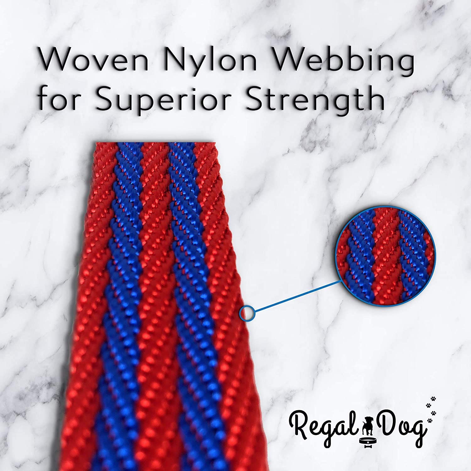 Regal Dog Products Dog Collar with Metal Buckle and D Ring - Fits Small， Medium， Large Dogs