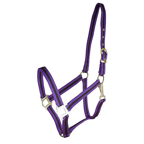 Gatsby 2-Tone Nylon Halter/Snap Cob Purple/Black