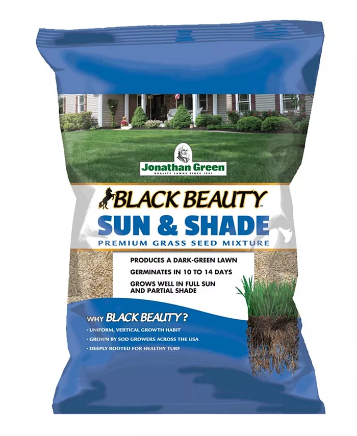 Jonathan Green (#12001) Black Beauty Sun Shade Grass Seed， 1lb bag