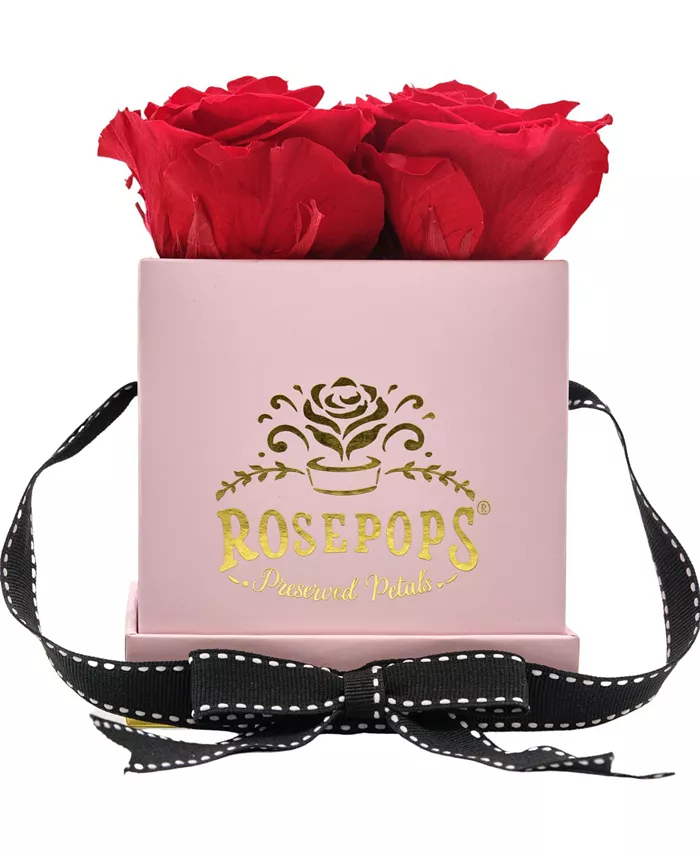 Rosepops Pop-Up Fourget Me Not Cherry Crush Real Roses， Box of 4
