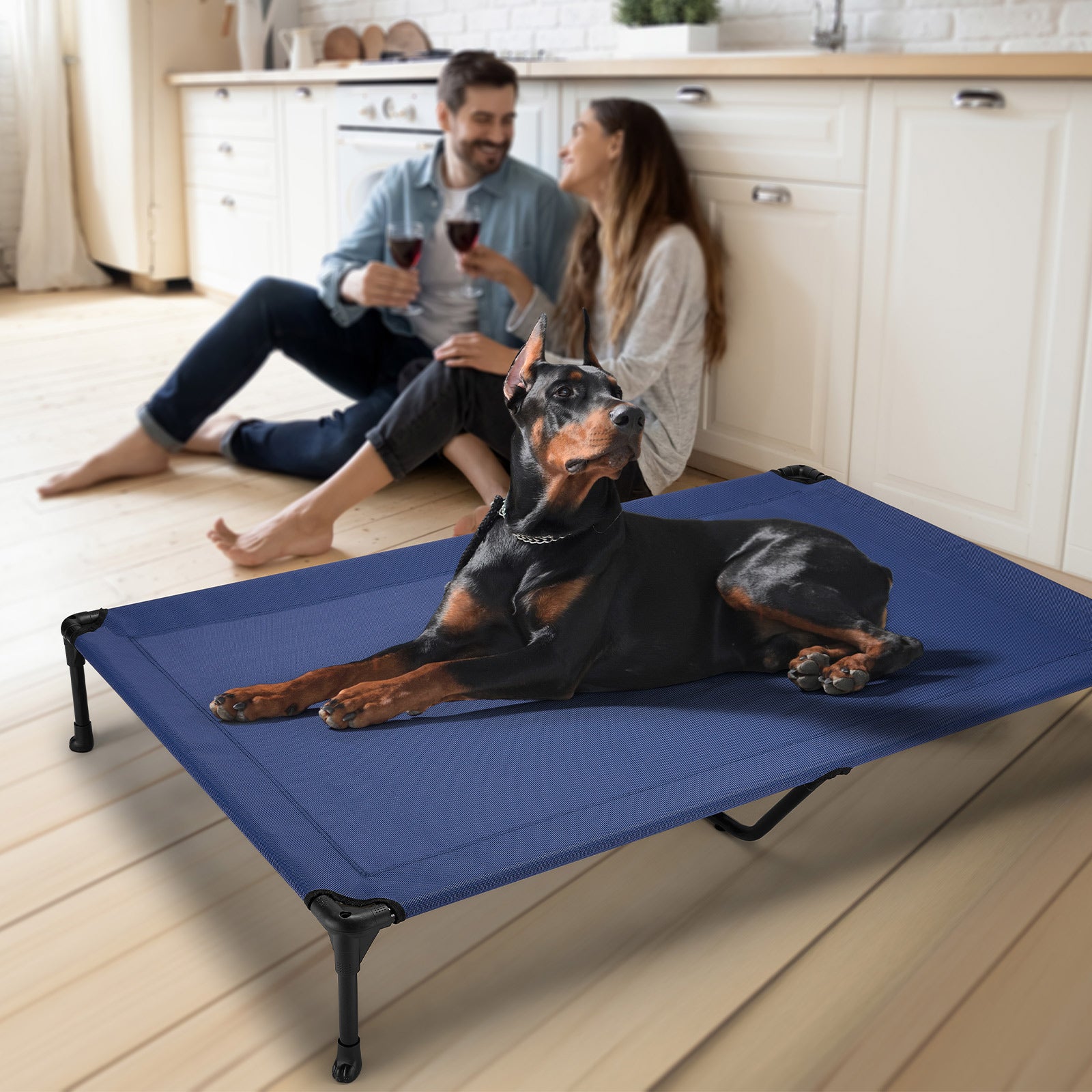 Veehoo Cooling Elevated Dog Bed， Portable Raised Pet Cot with Washable Mesh， XX-Large， Blue