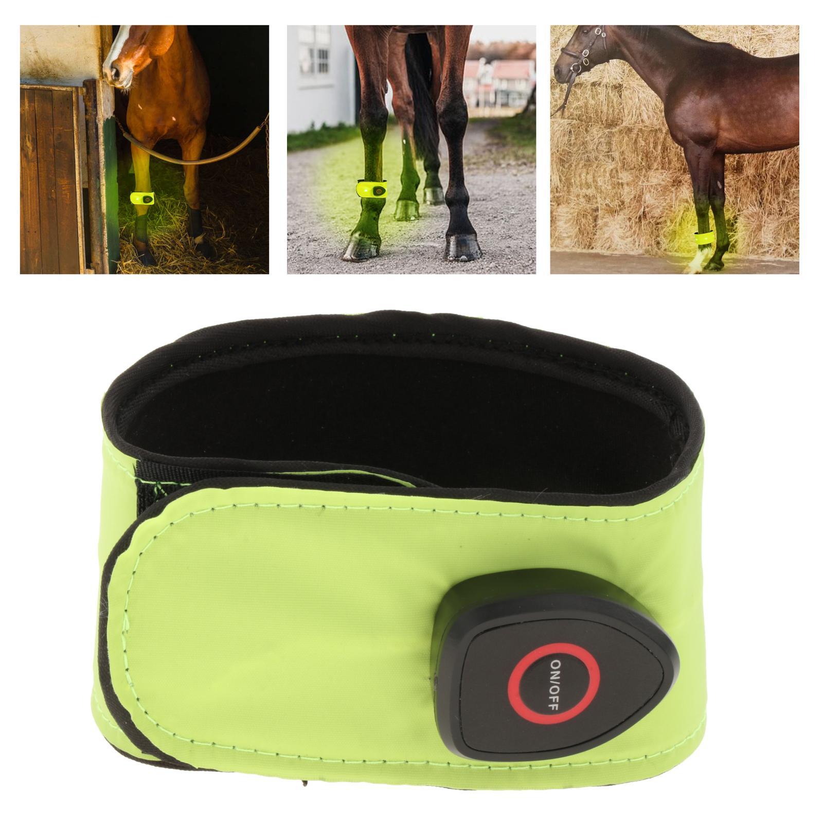 Set of 2 Reflective Horse Ankle Straps Belt Supply for Riding Jumping at Night