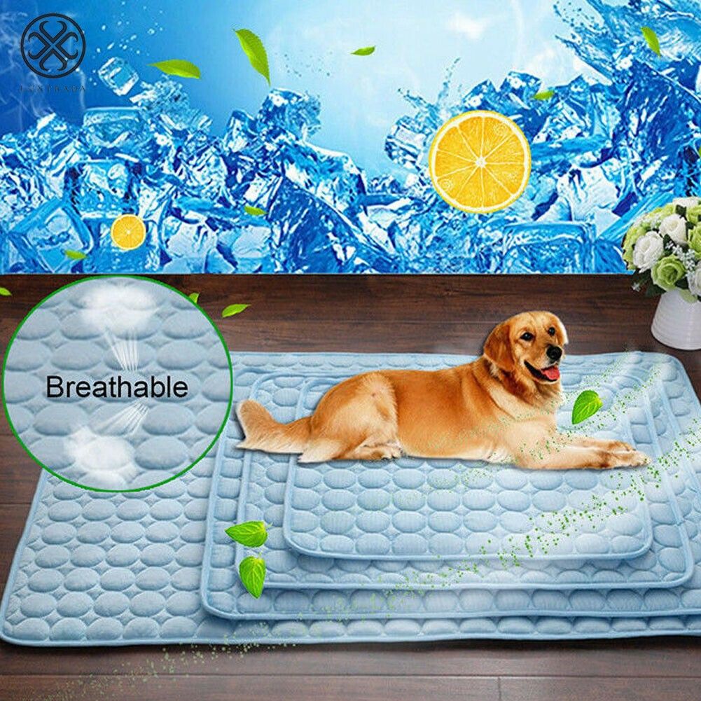 Luxtrada Pet Dog Self Cooling Mat Pad Ice Silk Mat Pet Cooling Non Sticking Blanket Keep Pets Summer Cool Comfort for Cats and Dogs Home (Blue，Size L)