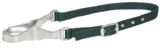 Gatsby Nylon Nutcracker Cribbing Strap Hunter