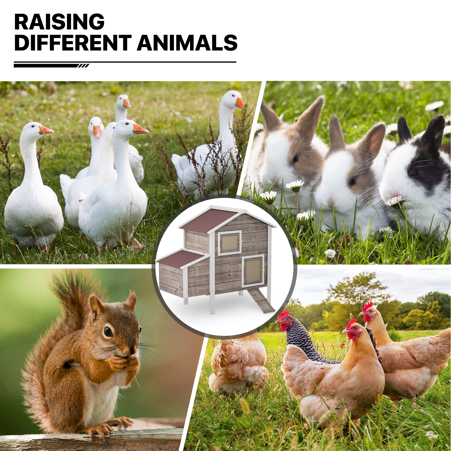 MoNiBloom Outdoor Chicken Coop with Nesting Box， Outdoor Hen House with Slide-Out Tray， Weatherproof Poultry Cage， Rabbit Hutch， Wood Duck House (Natural)