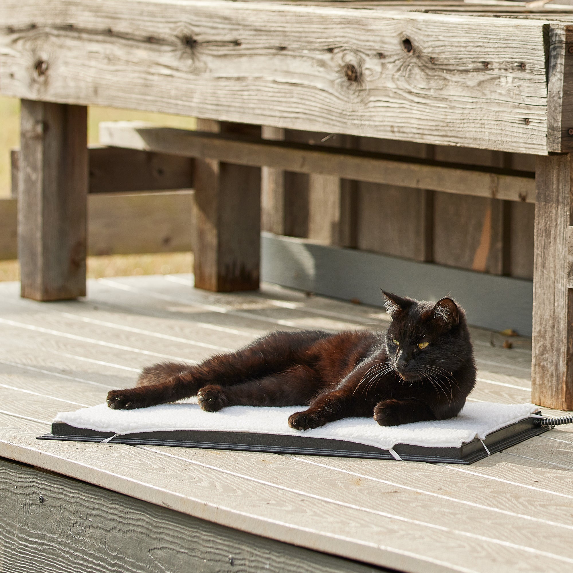 Farm Innovators Medium Plastic Heated Pet Mat