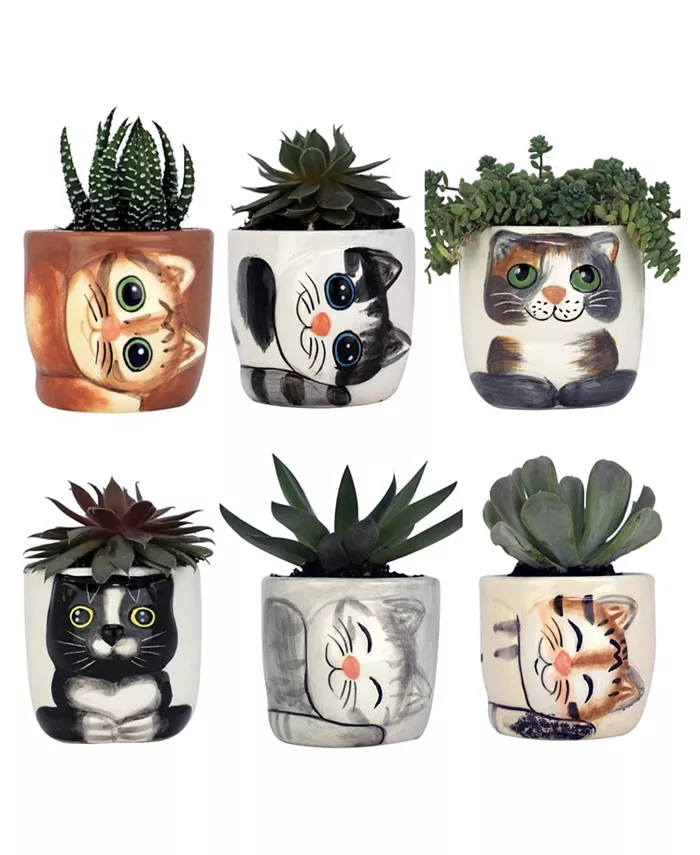 Window Garden Cute Cat Planter Pot - 6 Mini 3