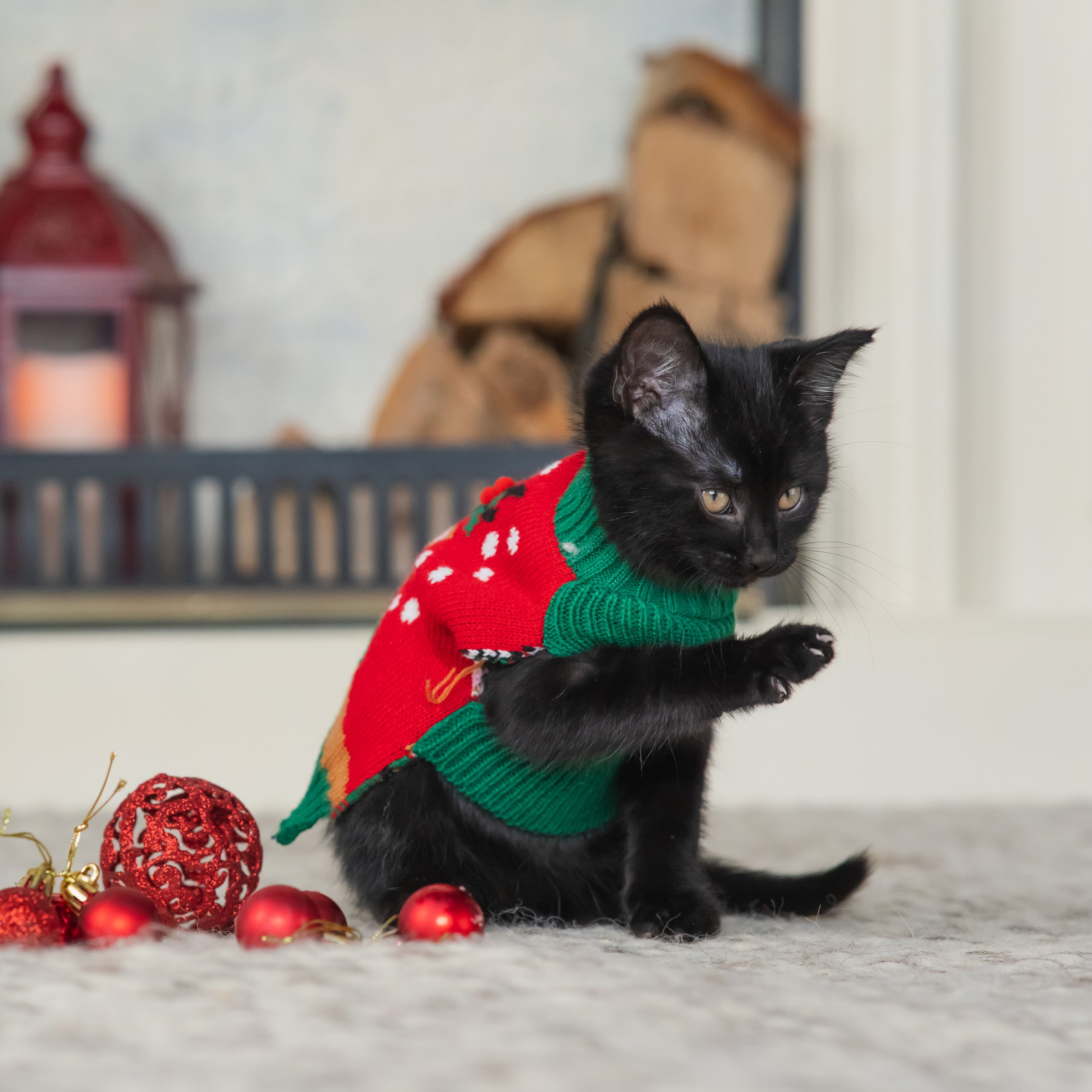 Vibrant Life， Holiday Dog Clothes， Reindeer Dog or Cat Sweater， Red XXS