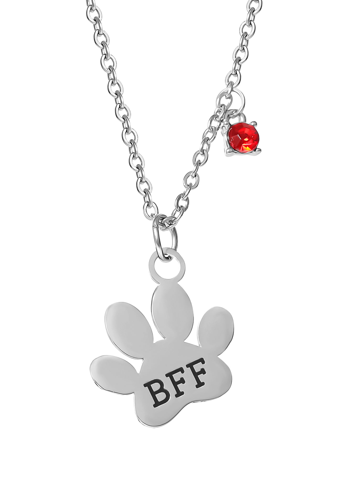 Connections from Hallmark Stainless Steel Dog BFF Tag and Necklace Set