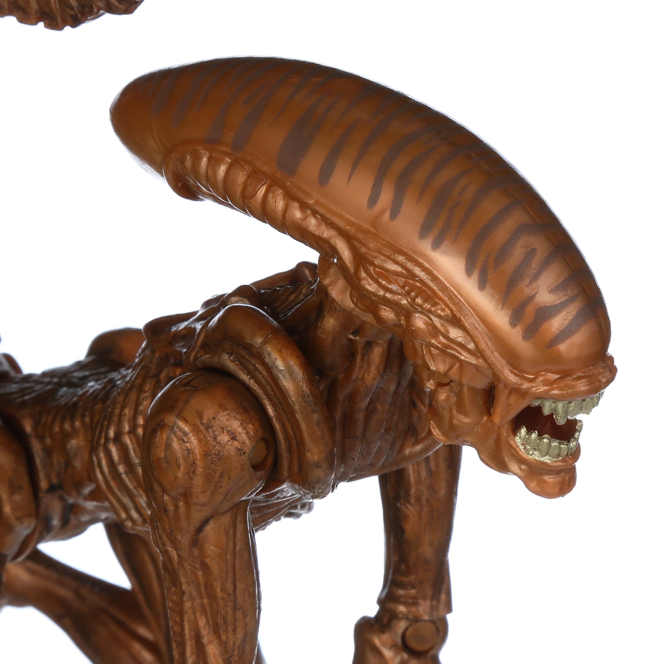 Lanard Alien Figure Xenomorph Runner Action Figure (7