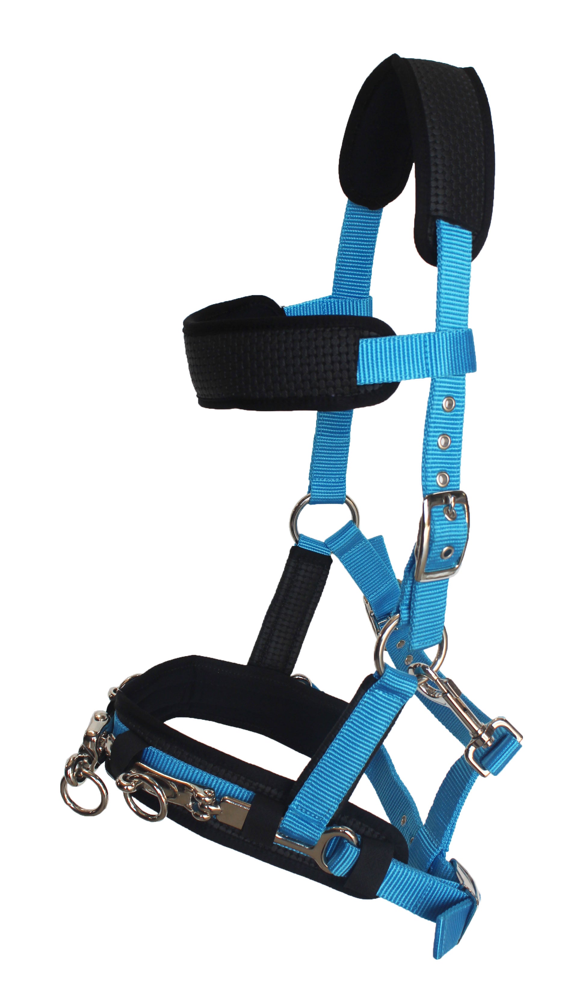 Horse Nylon Lunge Cavesson Neoprene Padded Training Halter Turquoise COB 606F03C