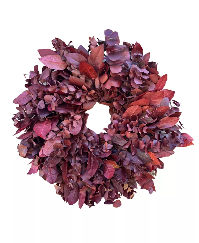 GreenishBlu Red Salal and Baby Blue Real Preserved Wreath， 24