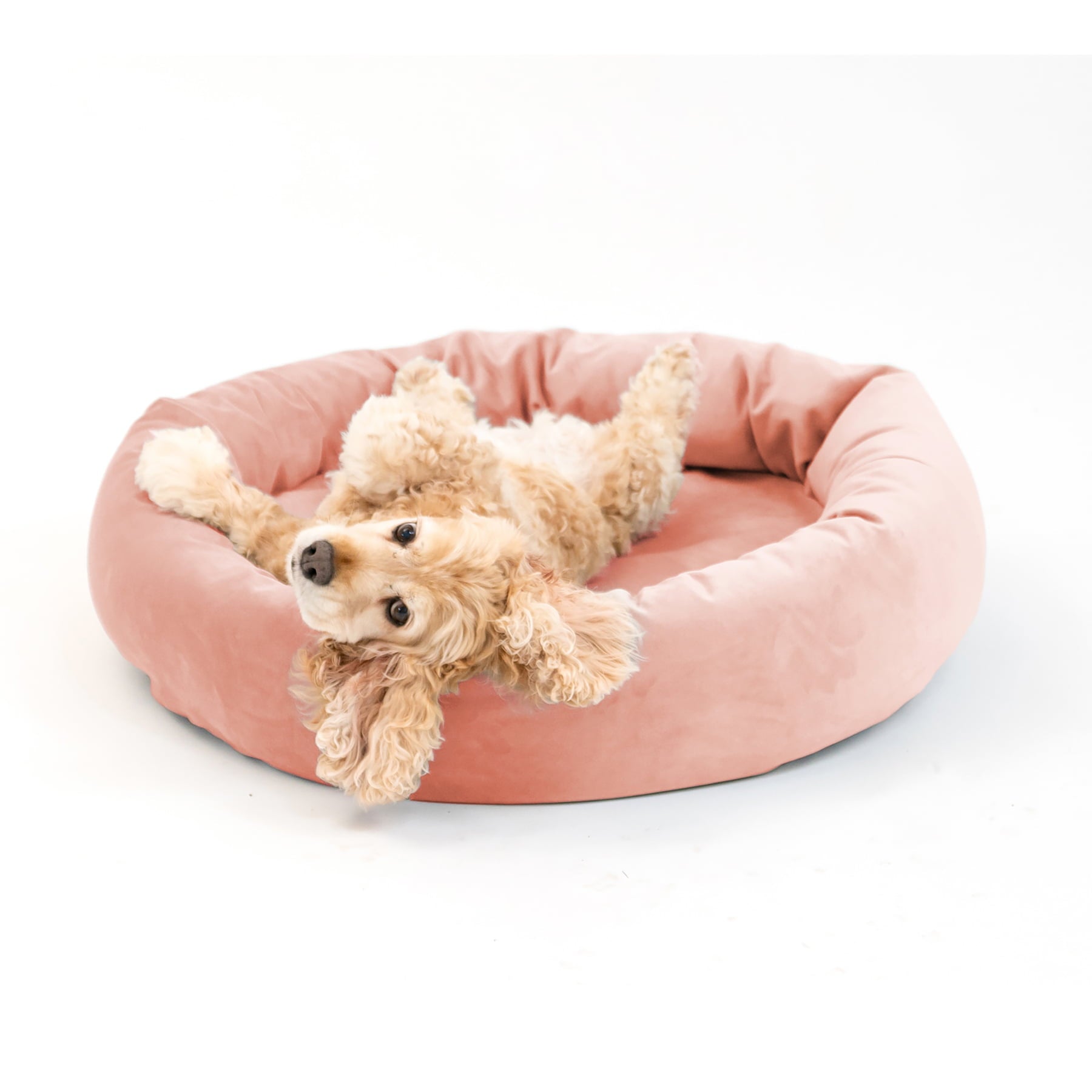 Luxury Velvet Dog Bed， Washable Cloud-Like Memory Foam， Size Medium in Blush