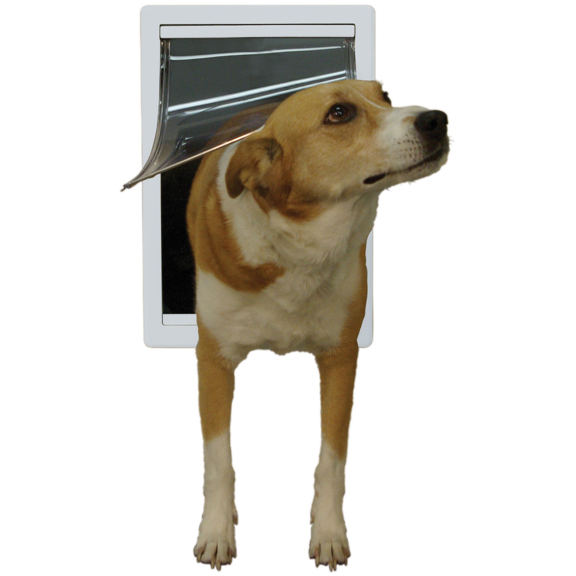 Ideal Pet 14.9 in. H X 9 in. W Plastic Pet Door