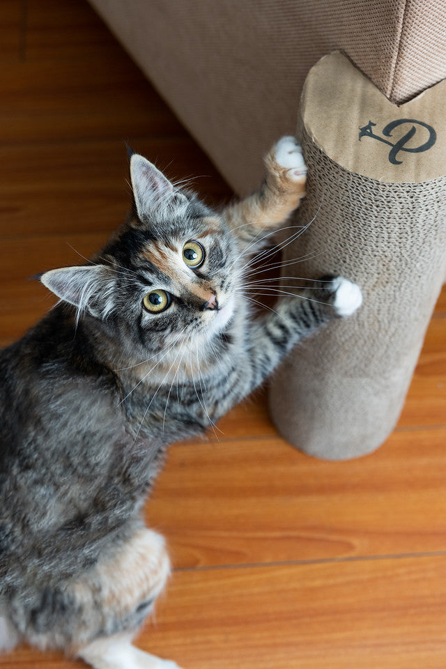 Kitty Corner Cat Scratching Post (2 pieces)