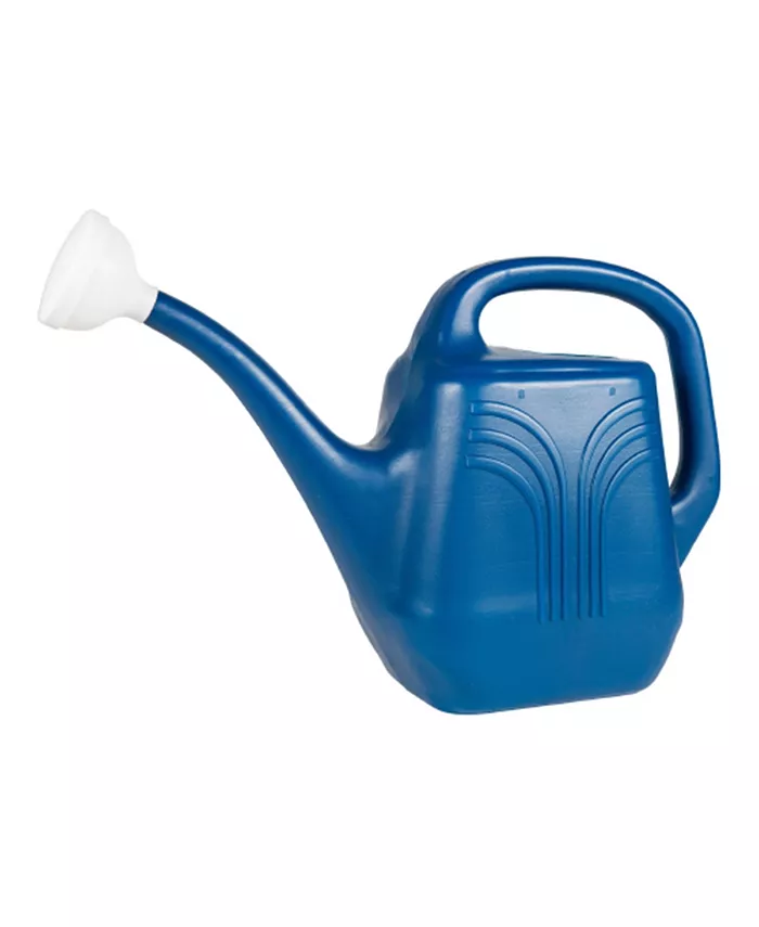Bloem Classic Plastic Watering Can， Classic Blue， 2 Gallons