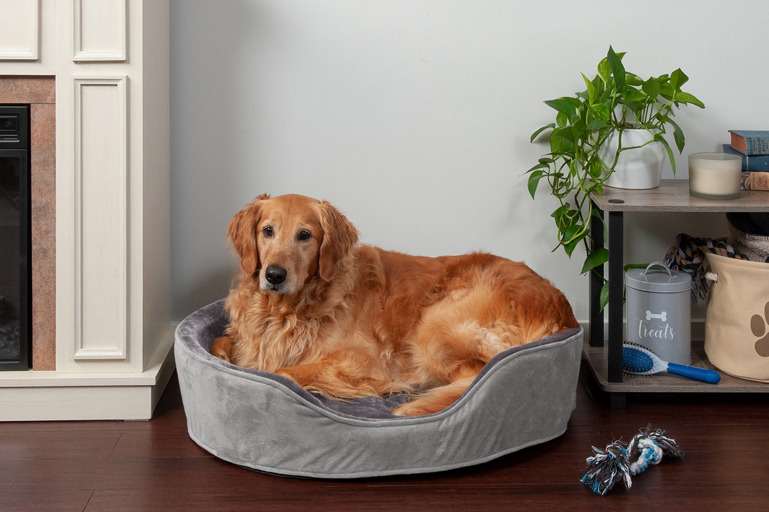 FurHaven | Orthopedic Plush and Velvet Oval Pet Bed for Dogs and Cats， Smoke Gray， Extra Large
