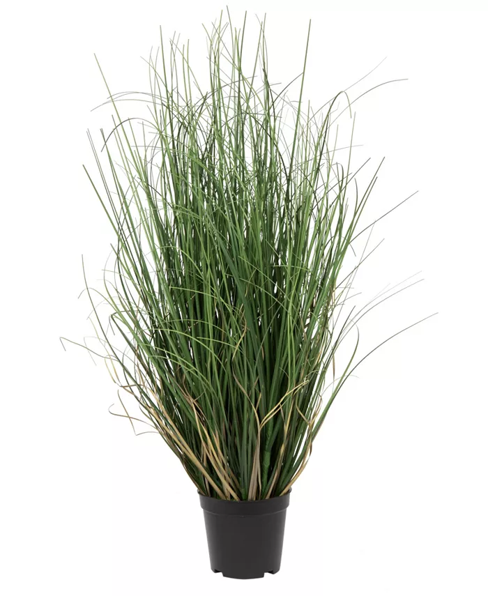 Vickerman 24