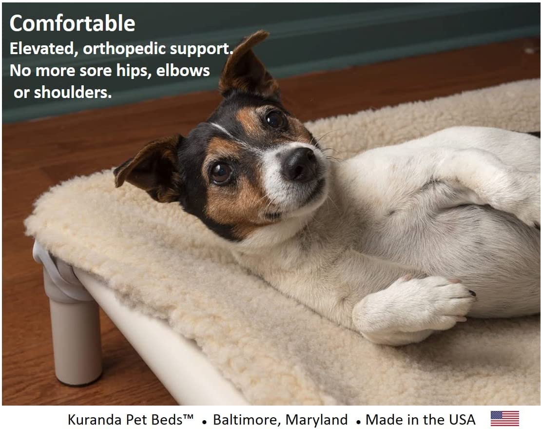 Kuranda Orthopedic Chewproof Elevated Dog Bed - Outdoor - Almond PVC Frame