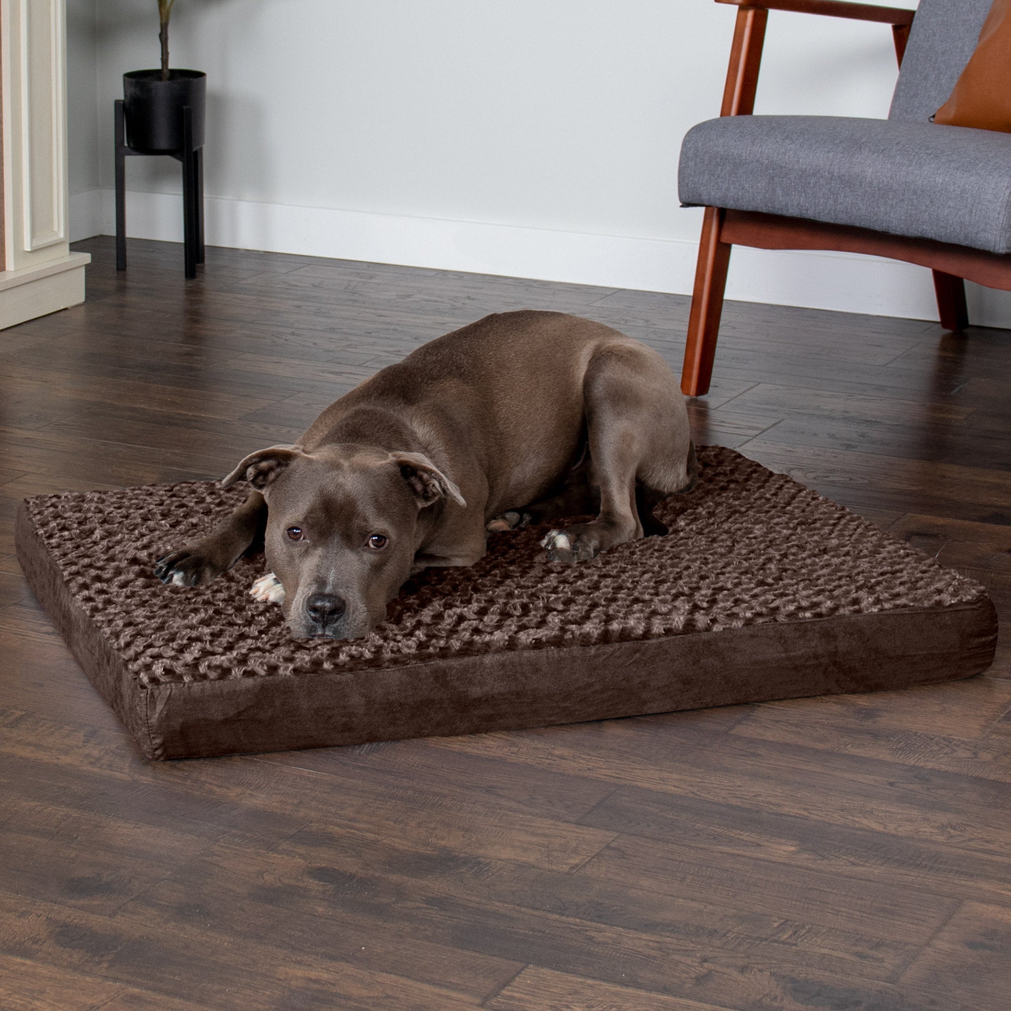 FurHaven Pet Products | Deluxe Memory Foam Ultra Plush Mattress Pet Bed for Dogs and Cats， Chocolate， Large