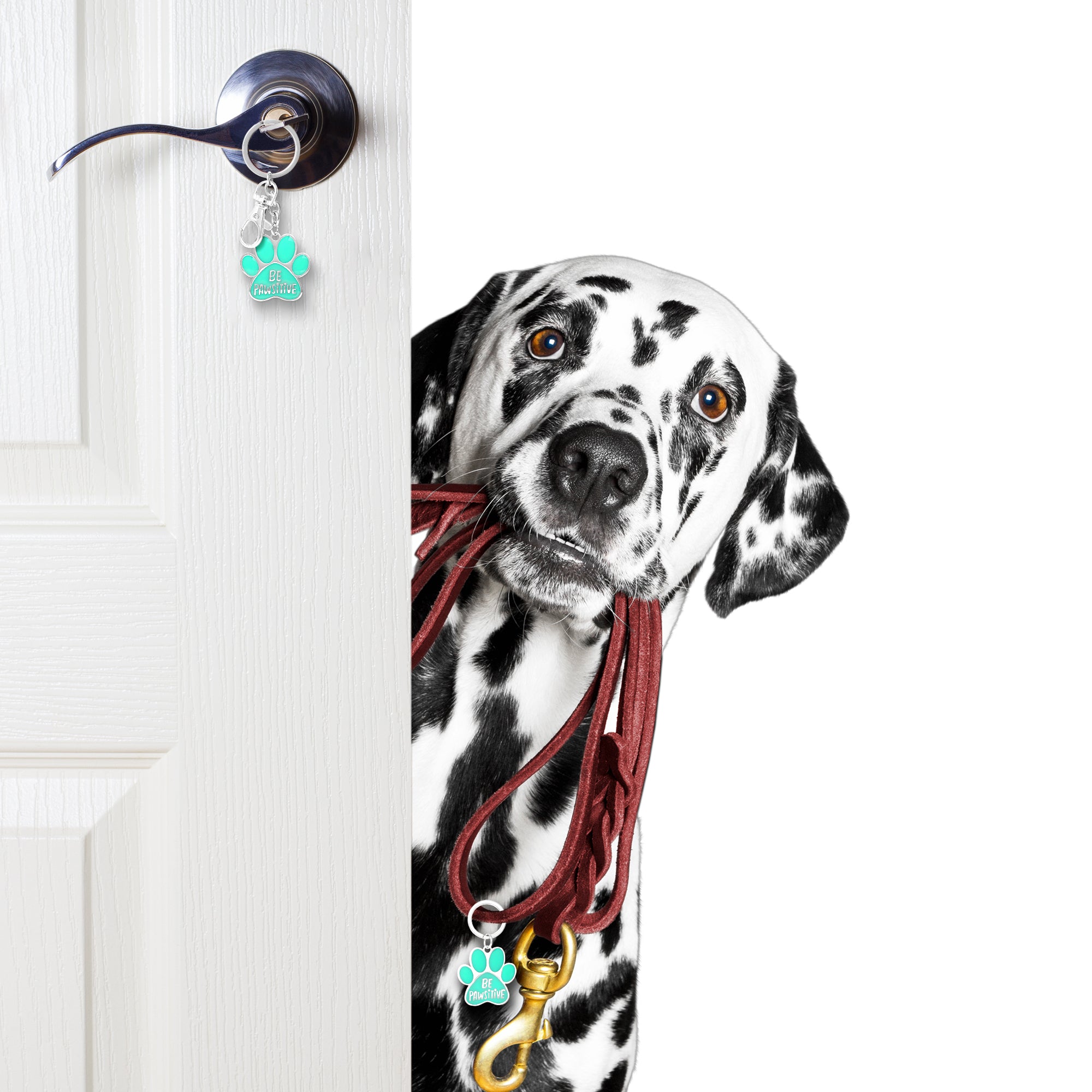 Connections from Hallmark Stainless Steel Pet Be Pawsitive Tag and Keychain Set