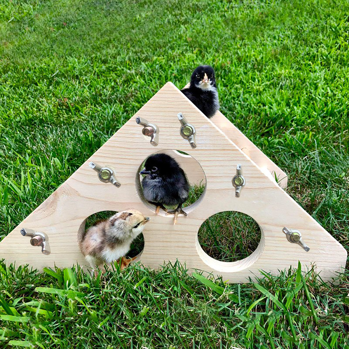 Vehomy Chicken Perch for Chicks Chicken Wood Stand with Holes Chick Stand Trainning Perch Chicken Roost bar for Chicks Chicken Swing Chicken Toy for Hens