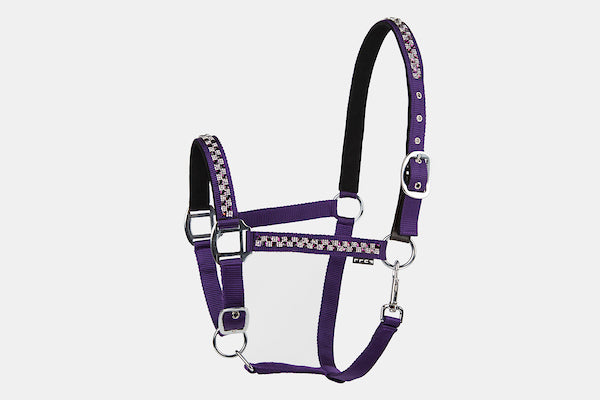 Lettia Square Bling Breakaway Halter- Purple/Purple- Oversize