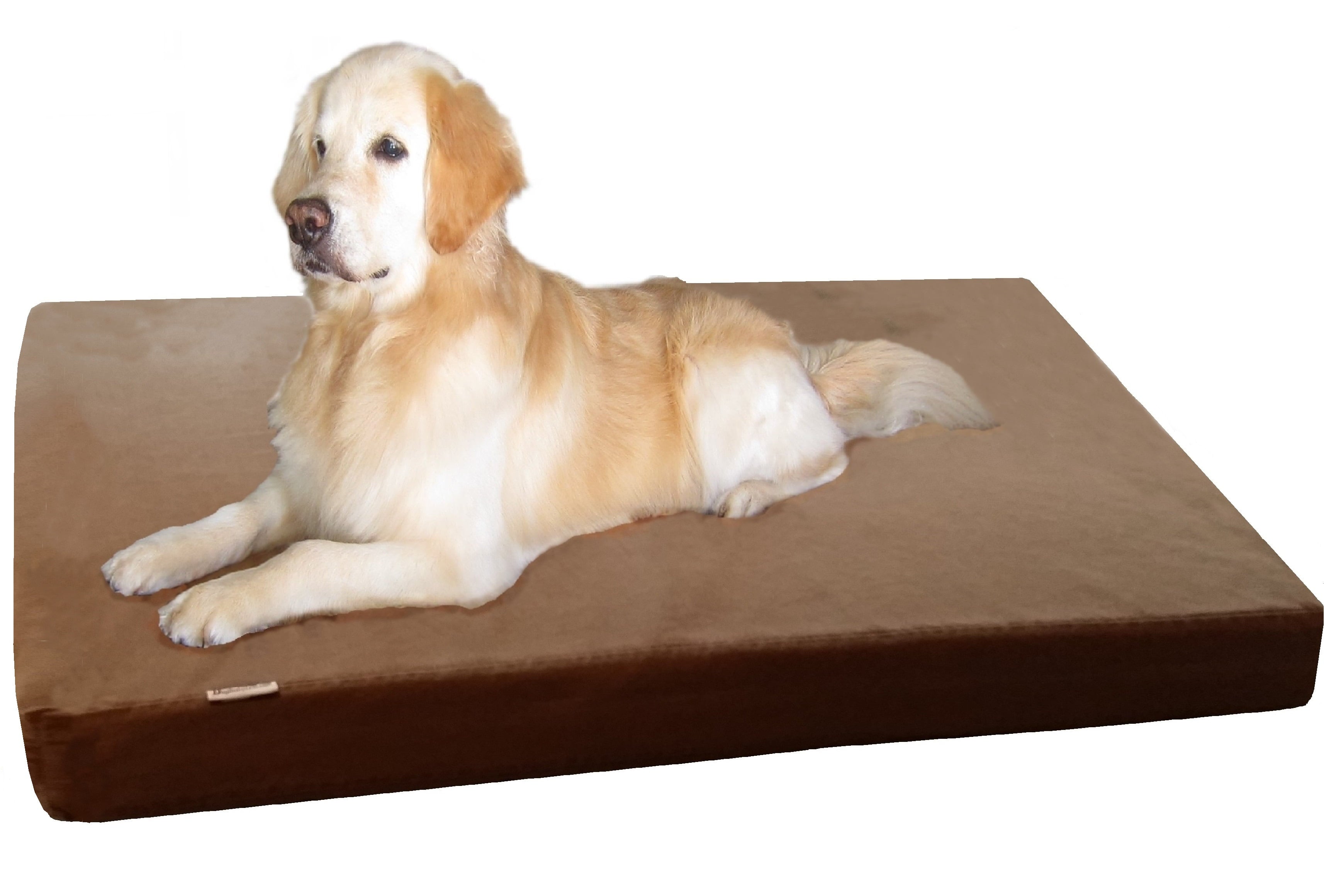 Jumbo Orthopedic Waterproof Memory Foam Dog Bed for Extra Large Pet 55