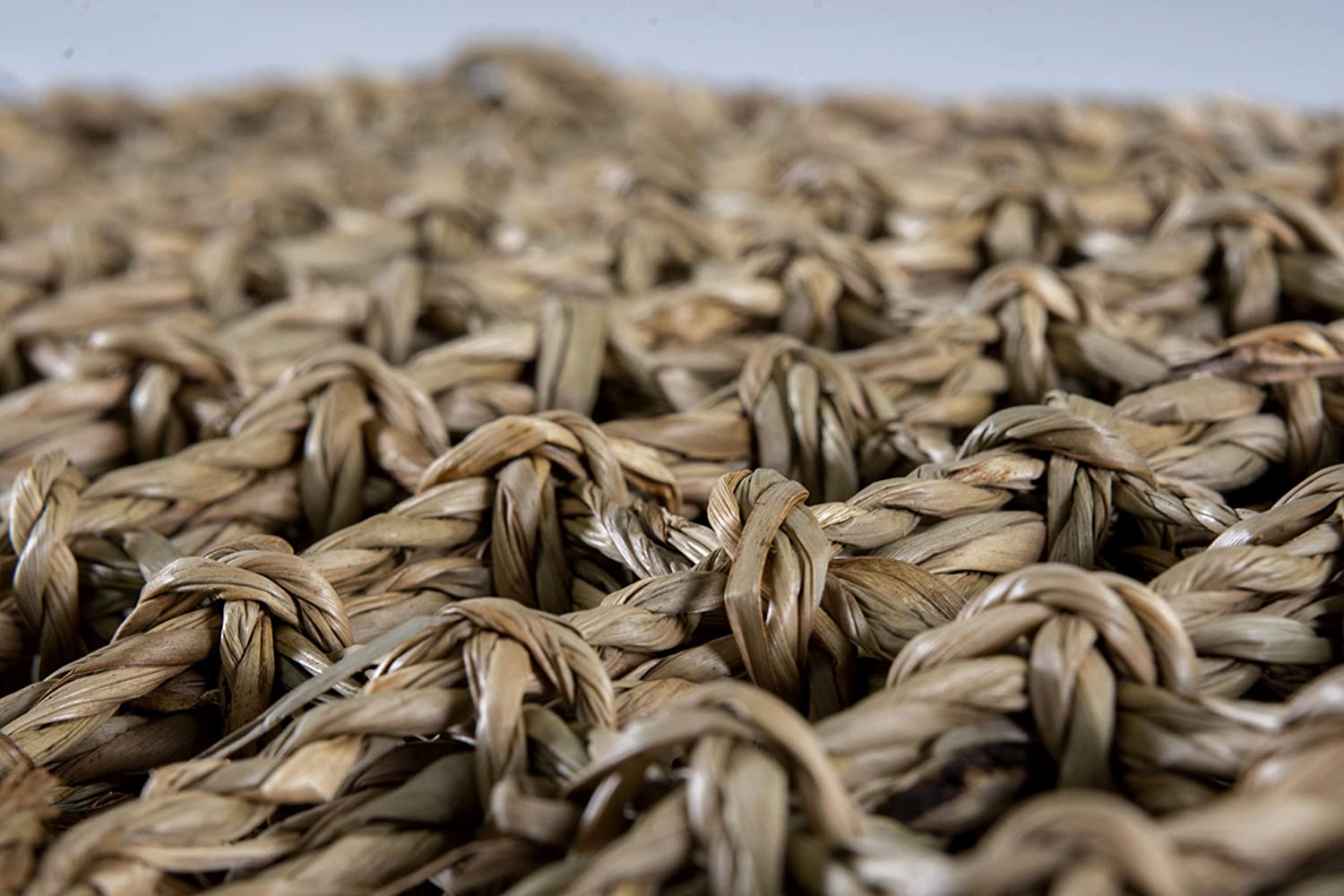 Penn-Plax Reptology Lizard Lounger for Reptiles – Seagrass – Extra Large